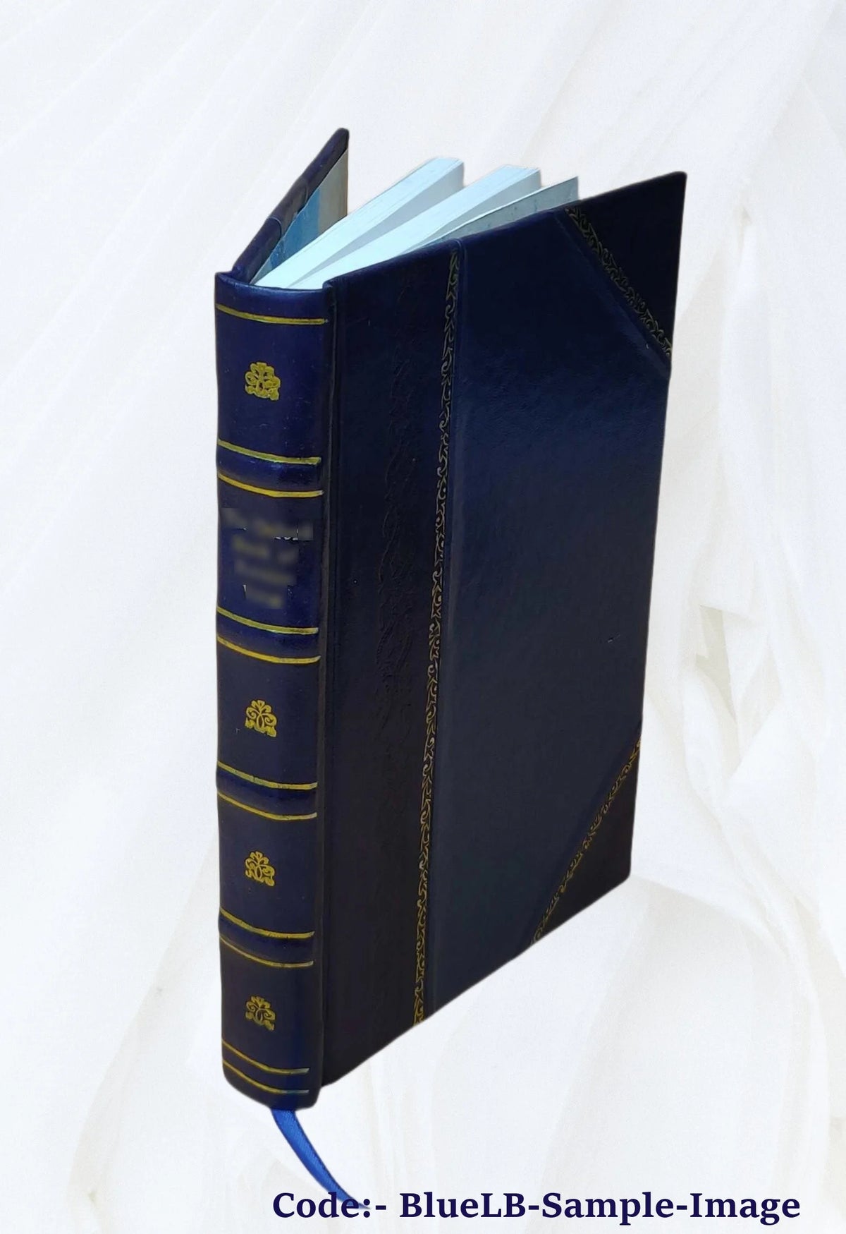 Leather Bound Book T2909