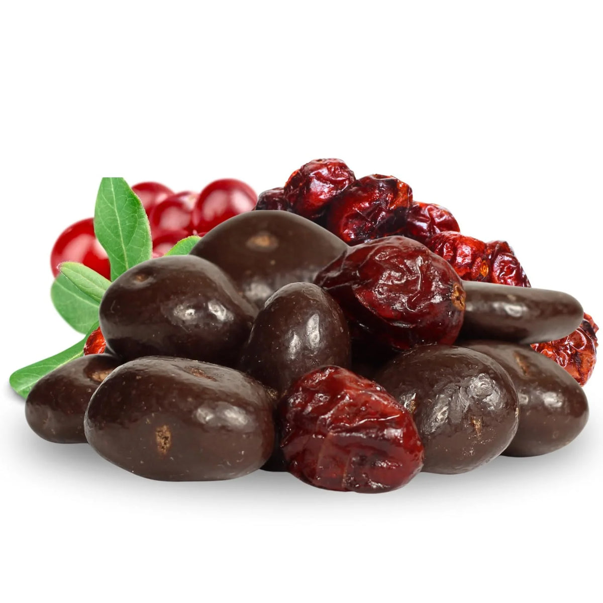 10 lbs Bulk Bag Dark Chocolate Covered Cranberries I220