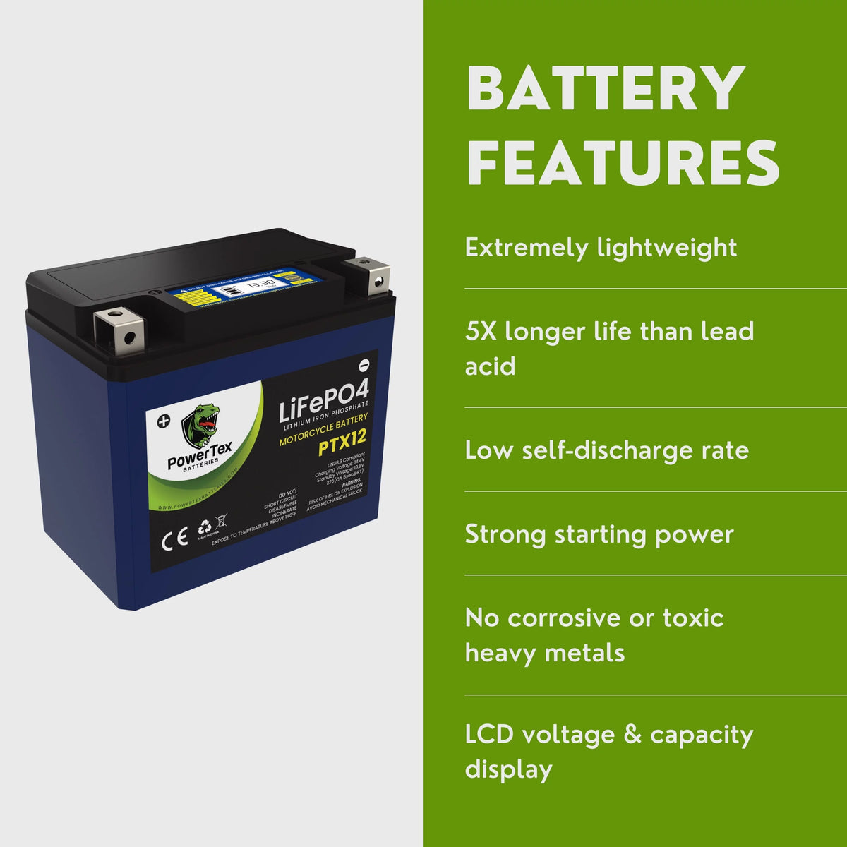 Lithium Iron Phosphate Motorcycle Battery with Voltage Display D550