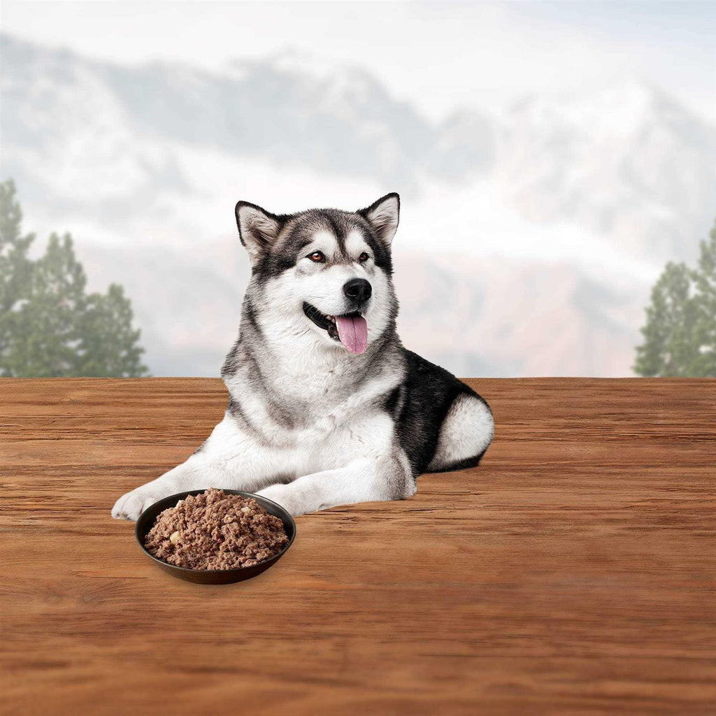 Chicken Dog Food P994