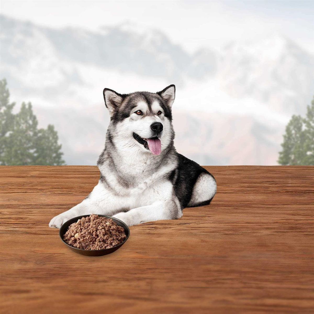Chicken Dog Food P994