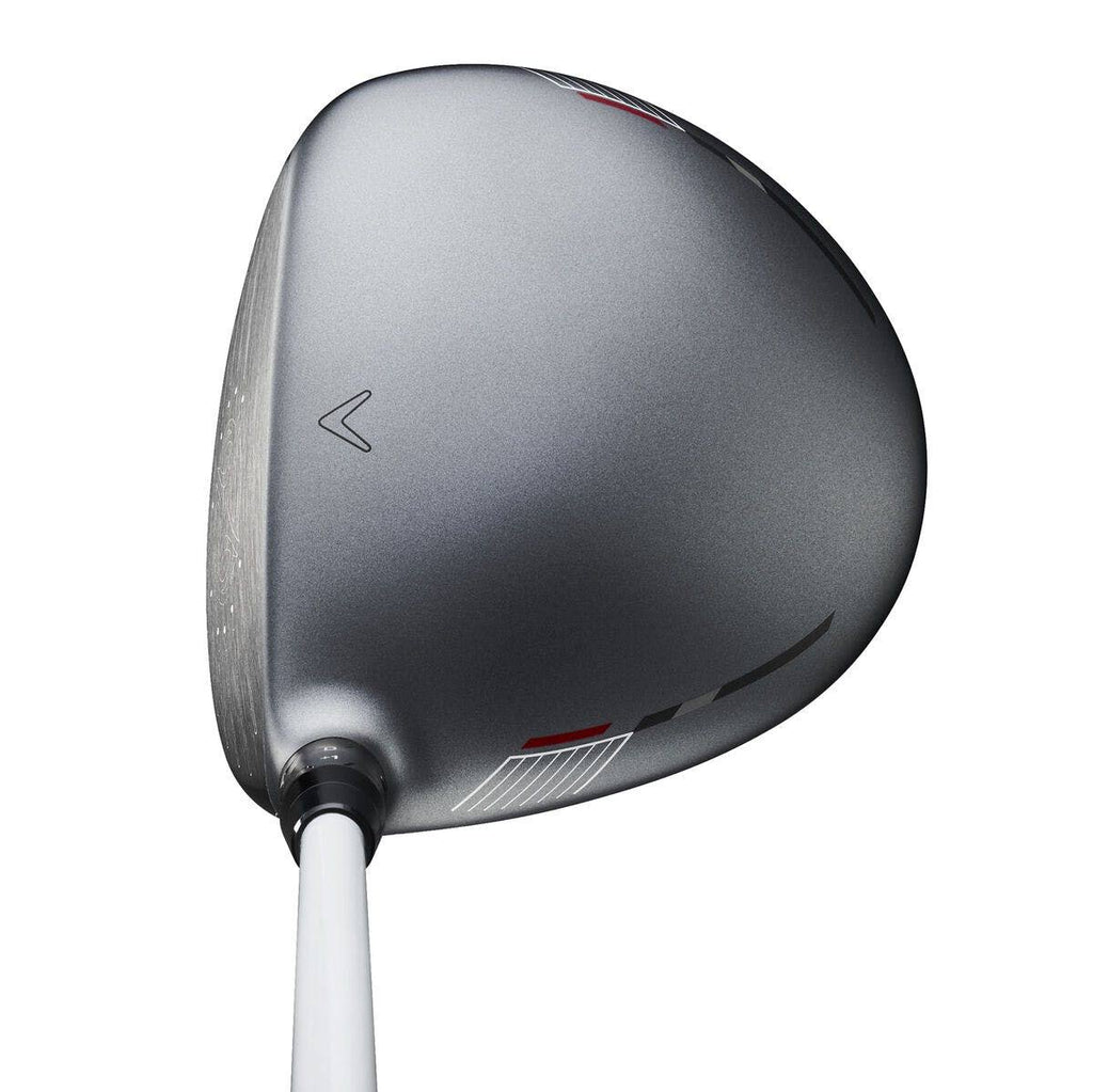 Driver Z30811