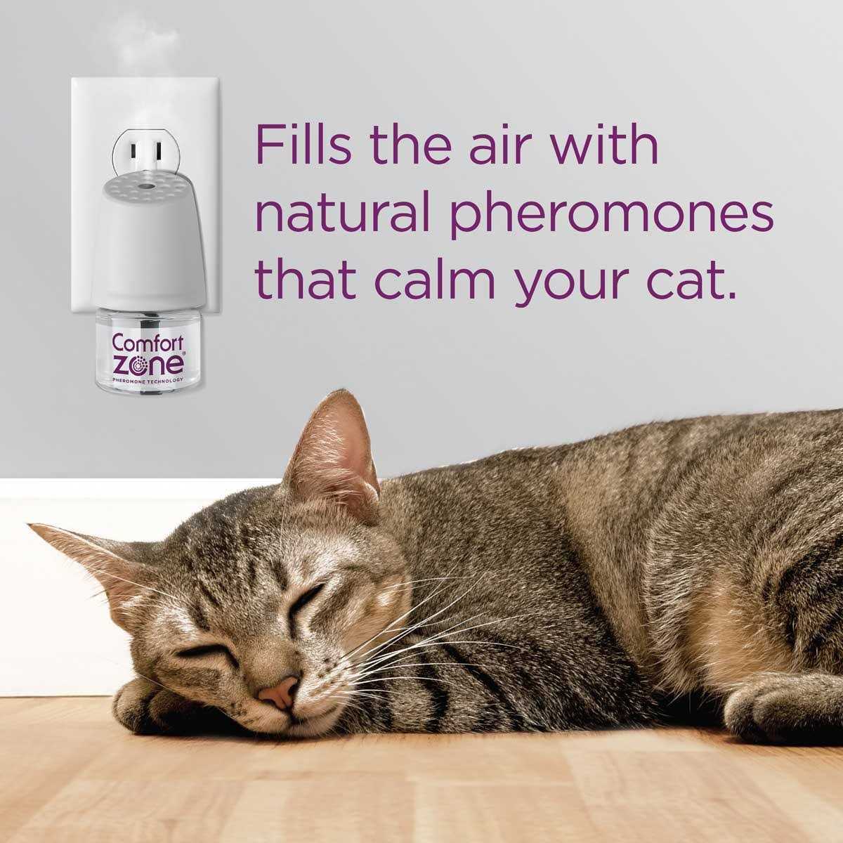 Calming Diffuser Kit B221