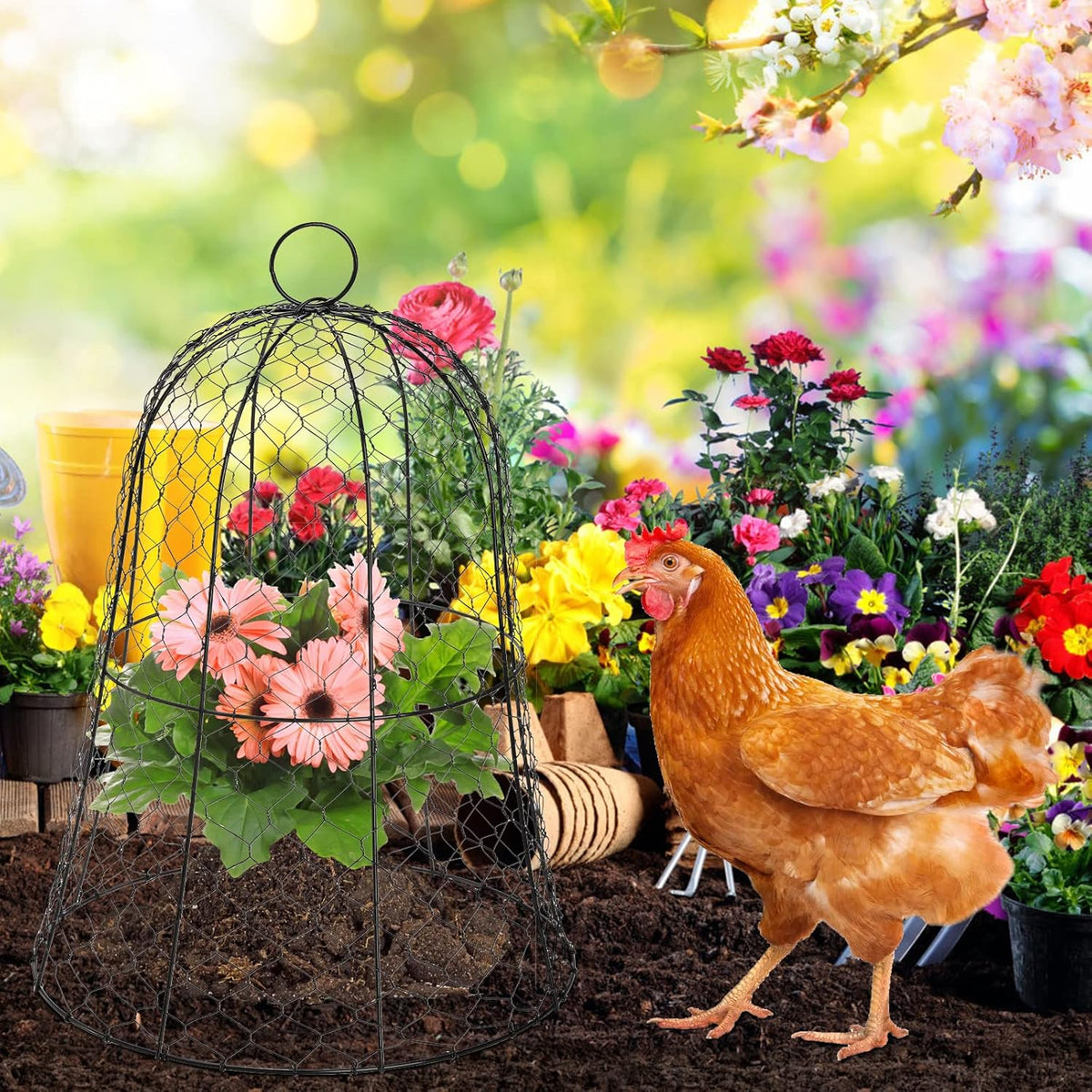 Black Metal Garden Cloche 5 Pack Z272