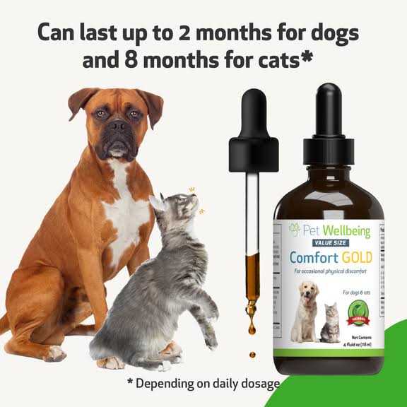 Comfort Gold for Cats F29295