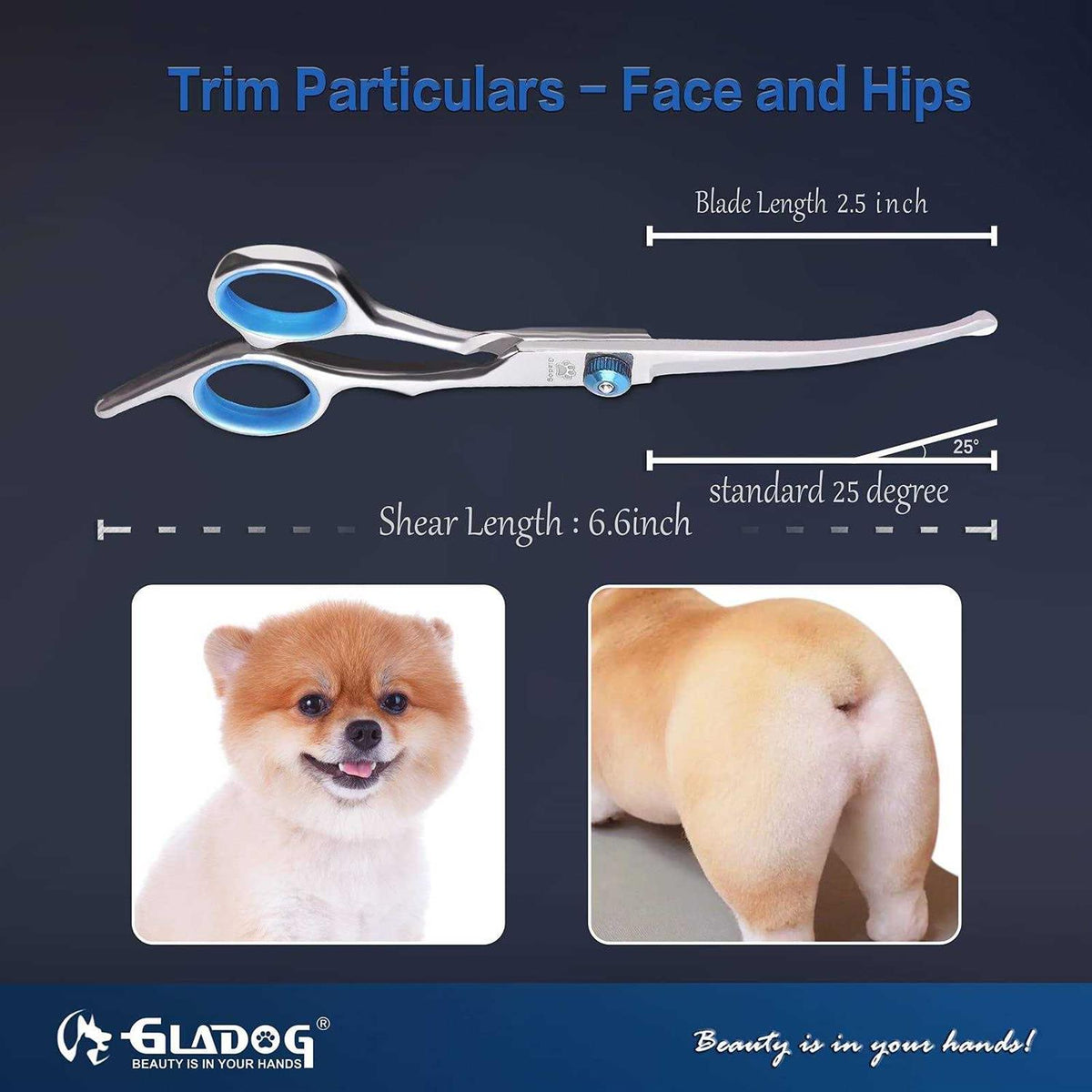 4 in 1 Dog Grooming Scissors Set with Safety Round Tips P4776