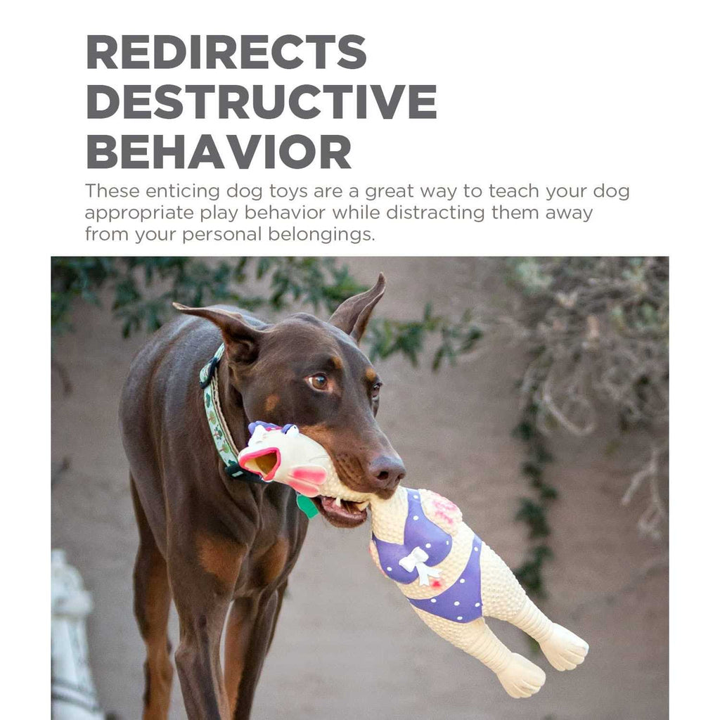 Dog Toy R36055