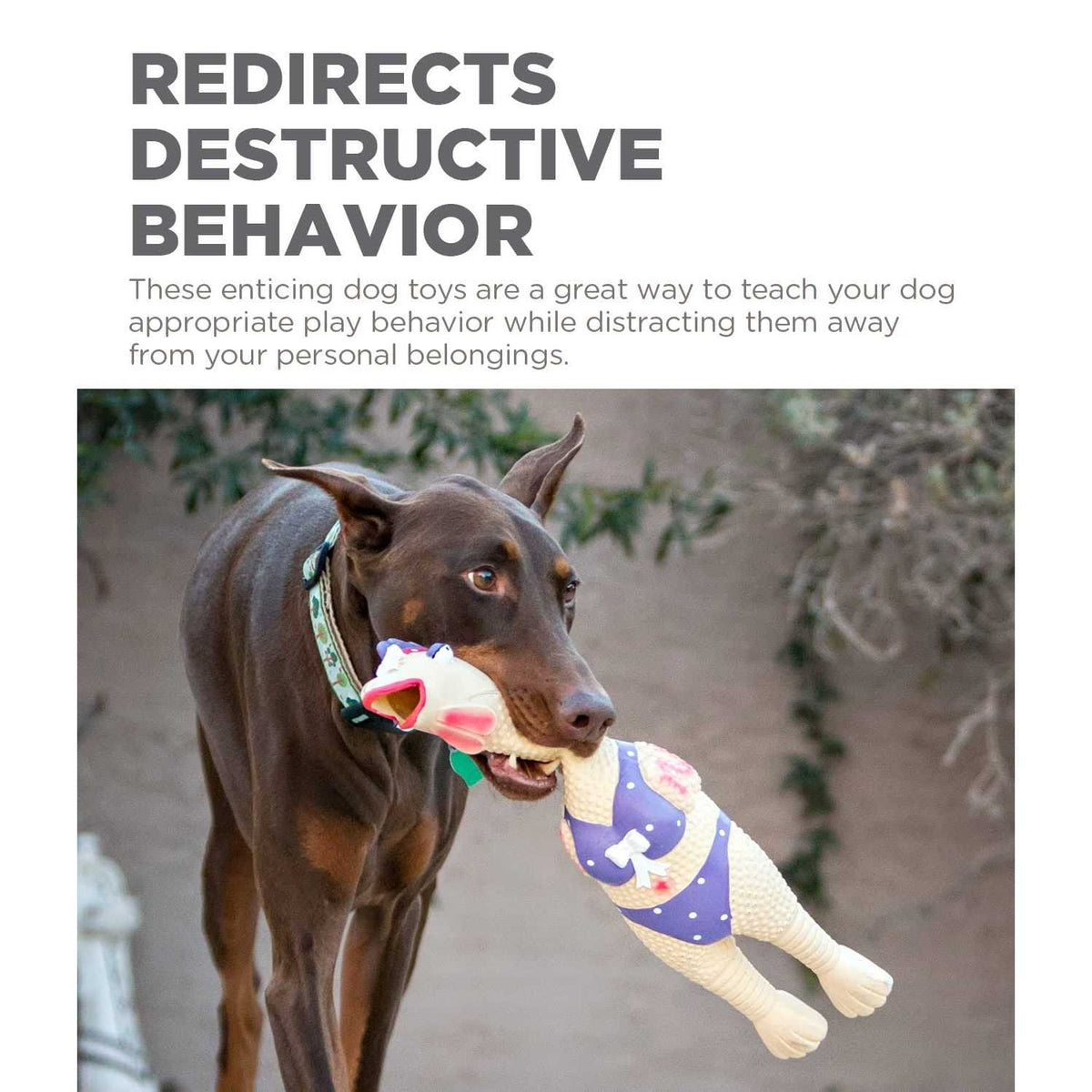 Dog Toy R36055
