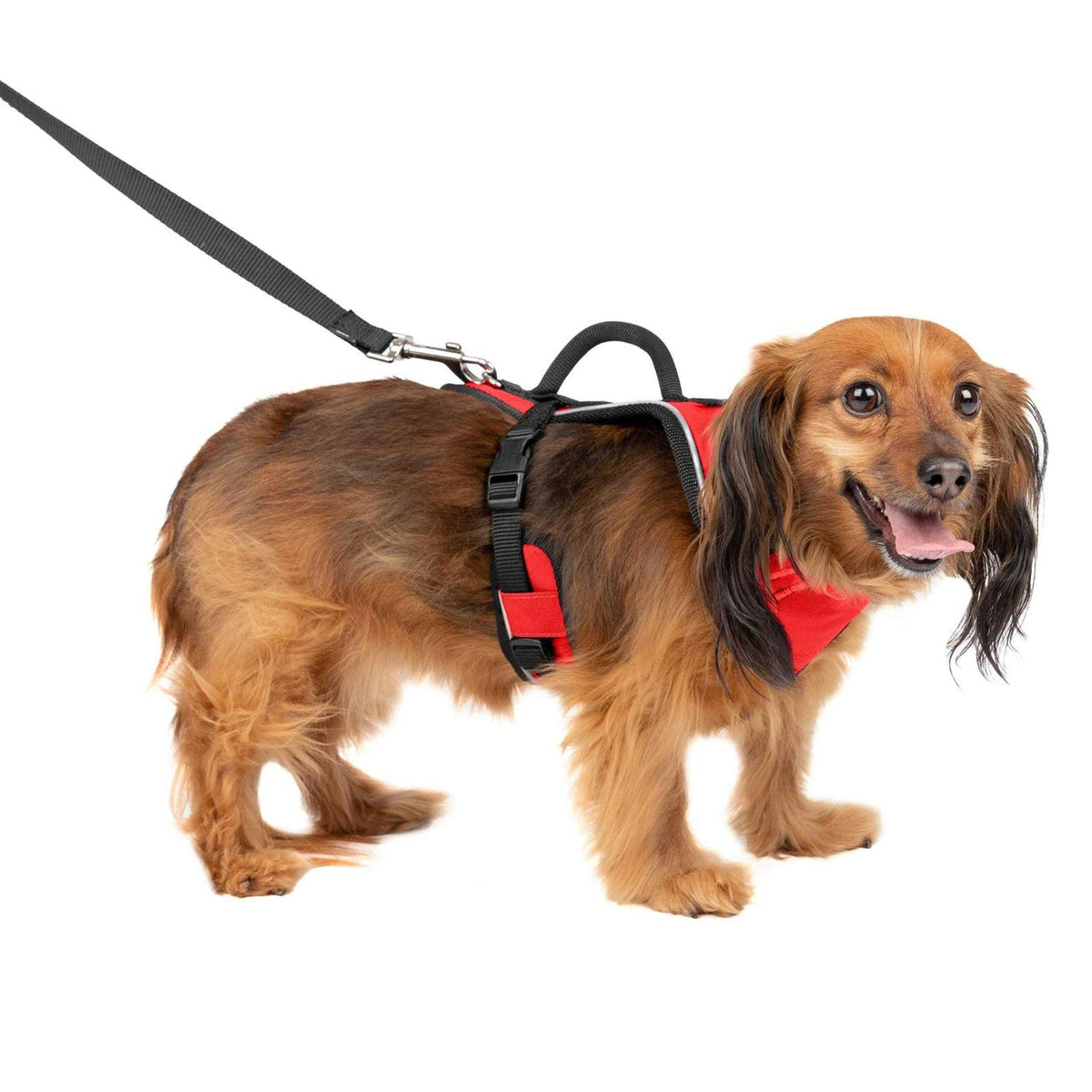 Dog Harness V3047