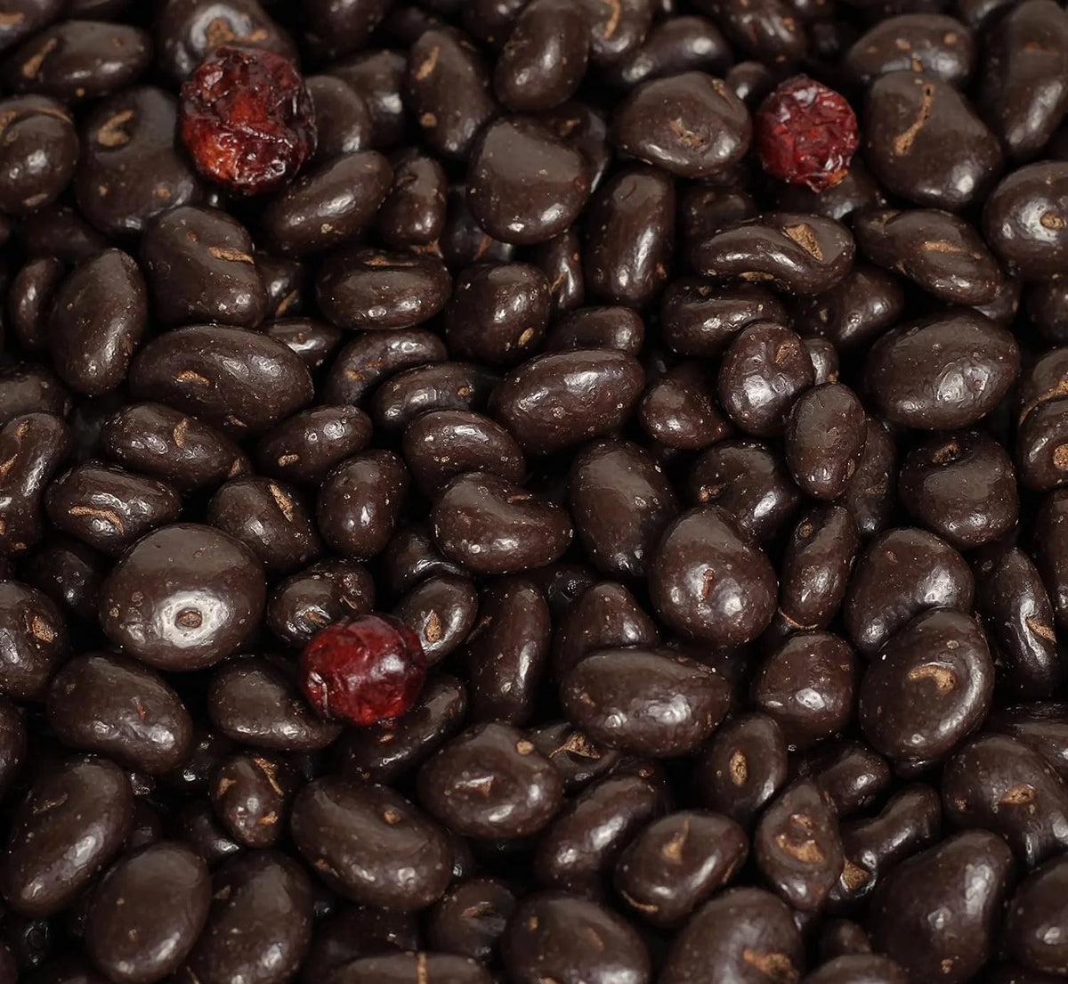 10 lbs Bulk Bag Dark Chocolate Covered Cranberries I220