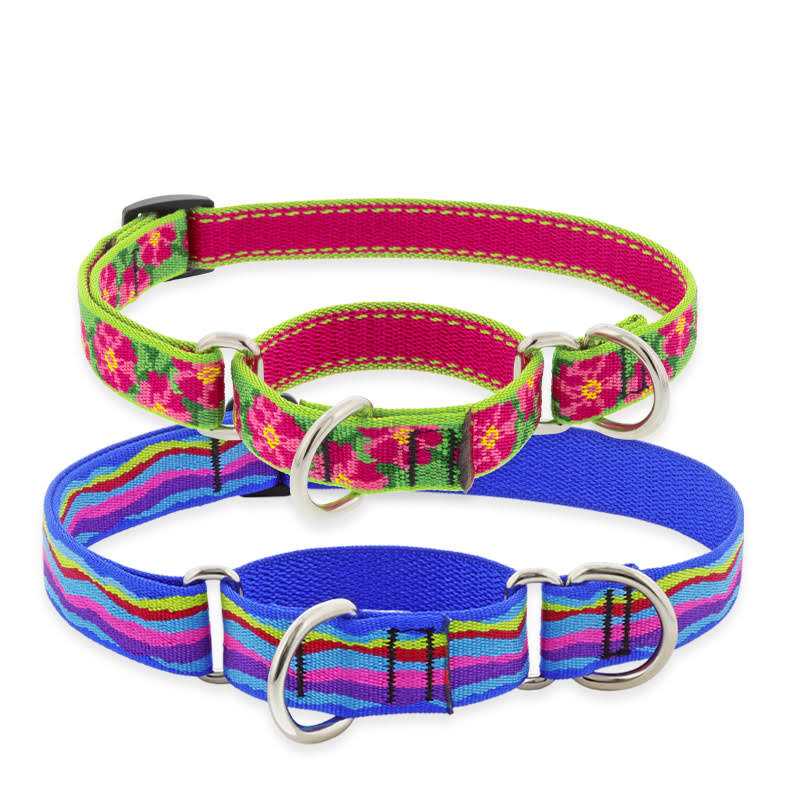 Martingale Collar K850938
