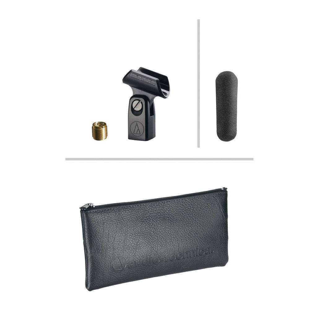 Microphone T178