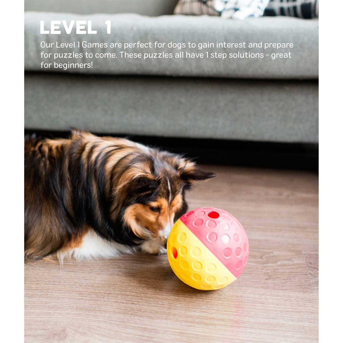 Treat Tumble Dog Toy C9325