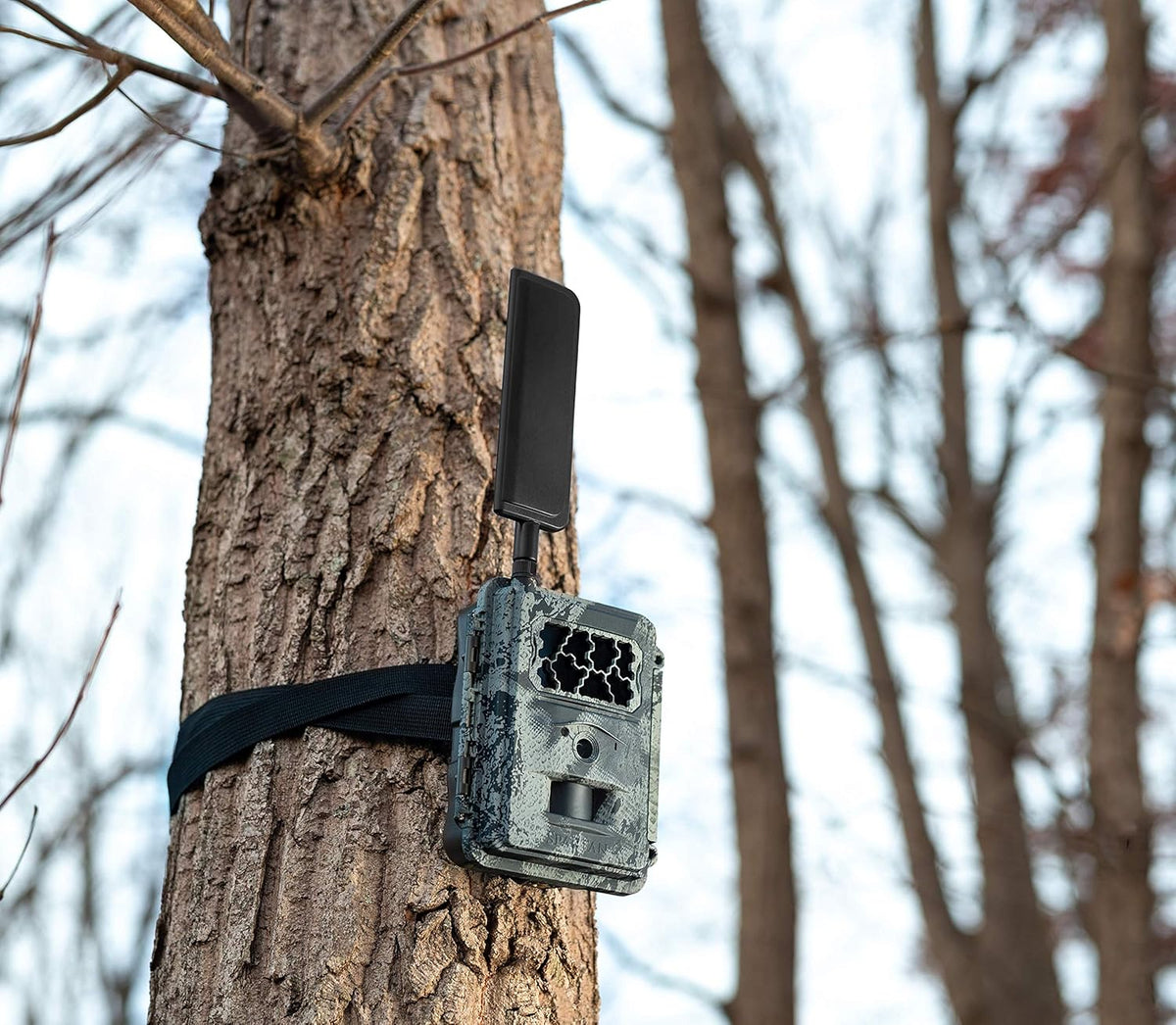 4G LTE Wireless Trail Camera with Mount L252178