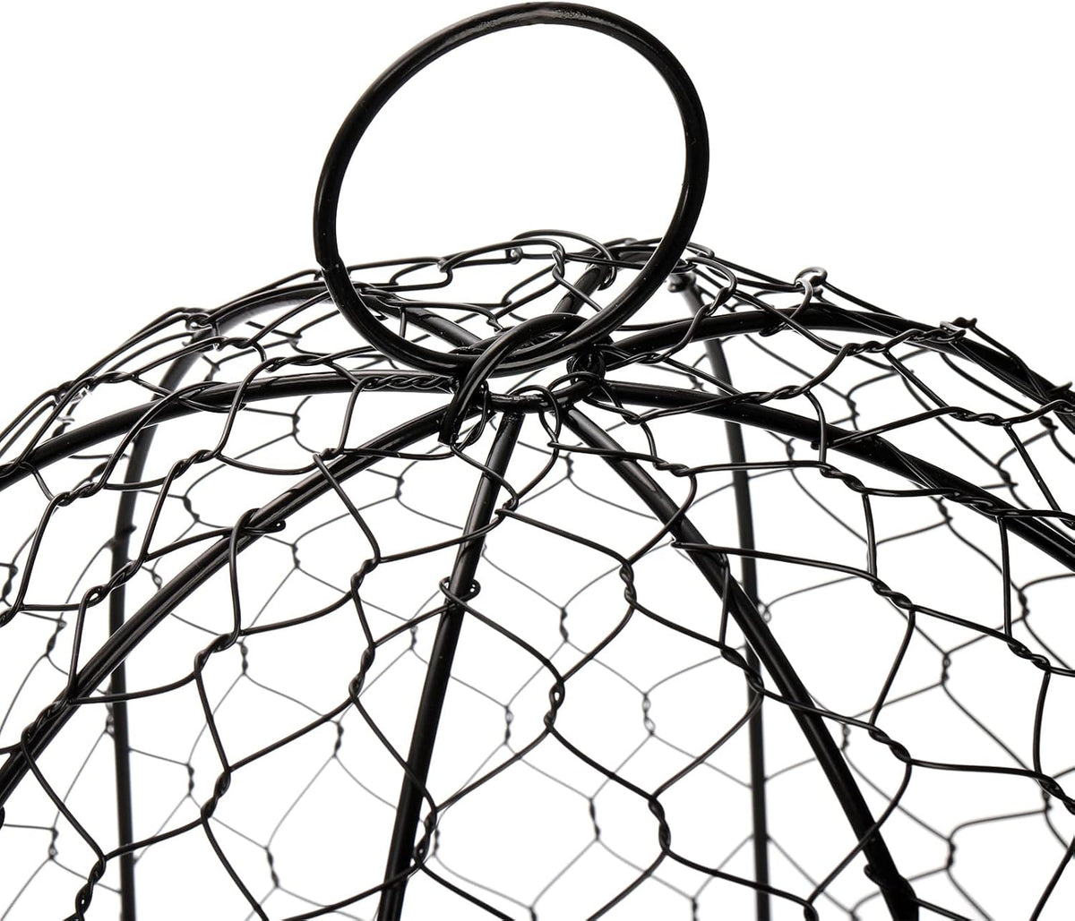 Black Metal Garden Cloche 5 Pack Z272