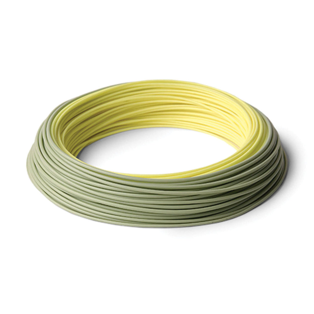 WF6F Fly Line H8706