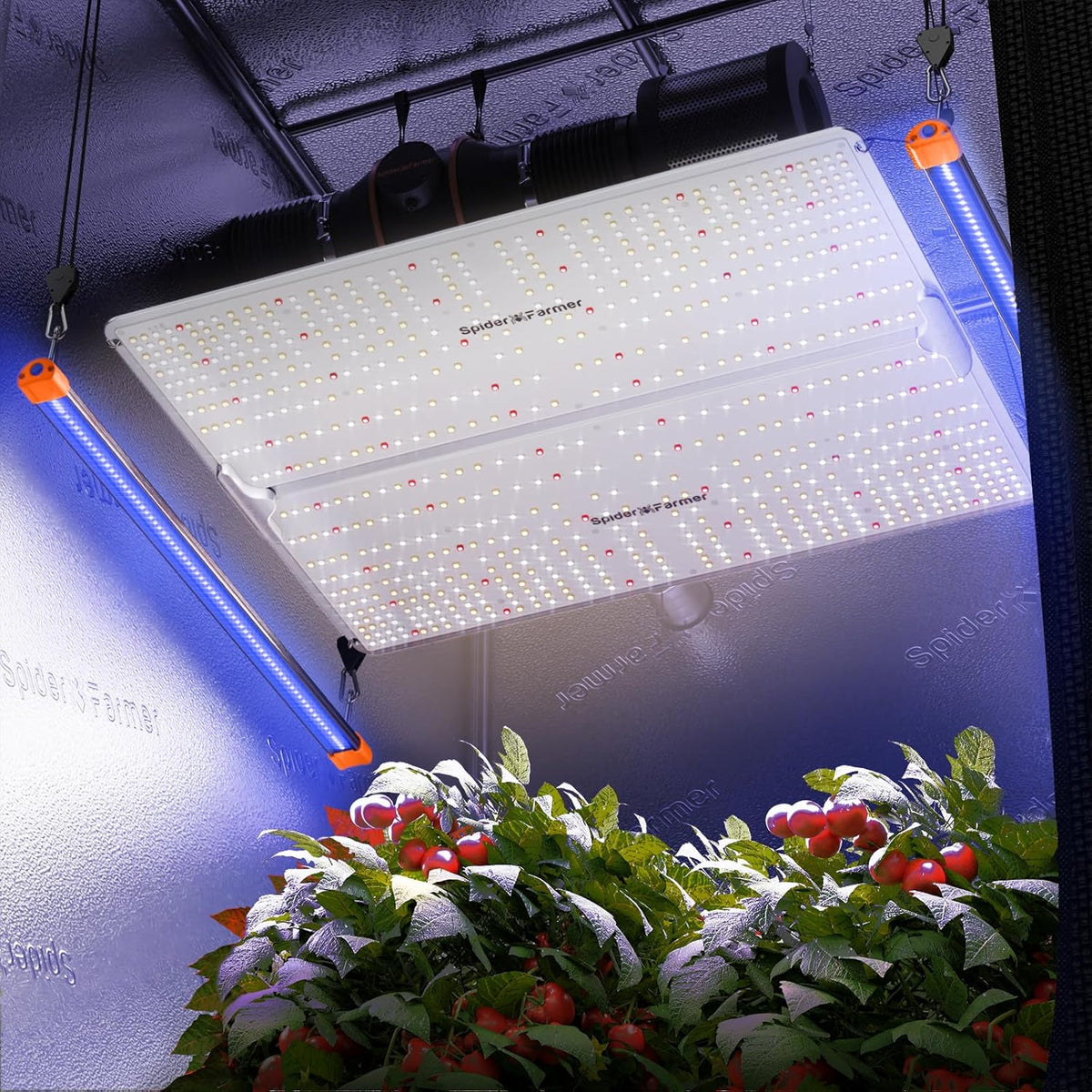LED Grow Lights with Samsung LM301B Diodes Full Spectrum Grow Light and UV Supplemental Light P442