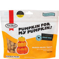 Freeze-Dried Chicken Dog Treats V28473