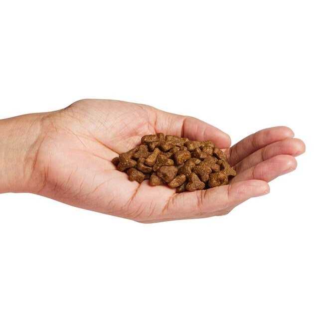 Natural Holistic Cat Food W90328