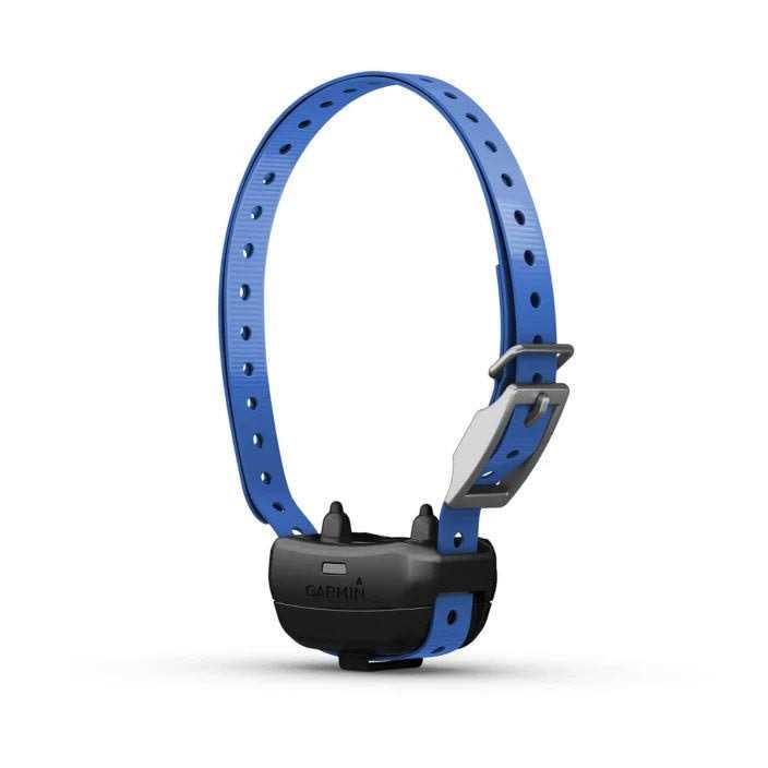 Dog Collar T61923