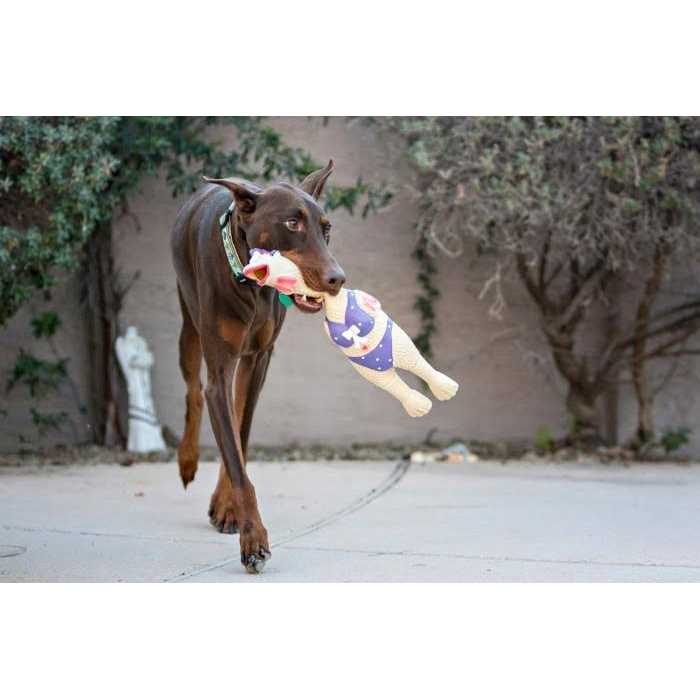 Dog Toy R36055