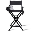 Director Chair R41501