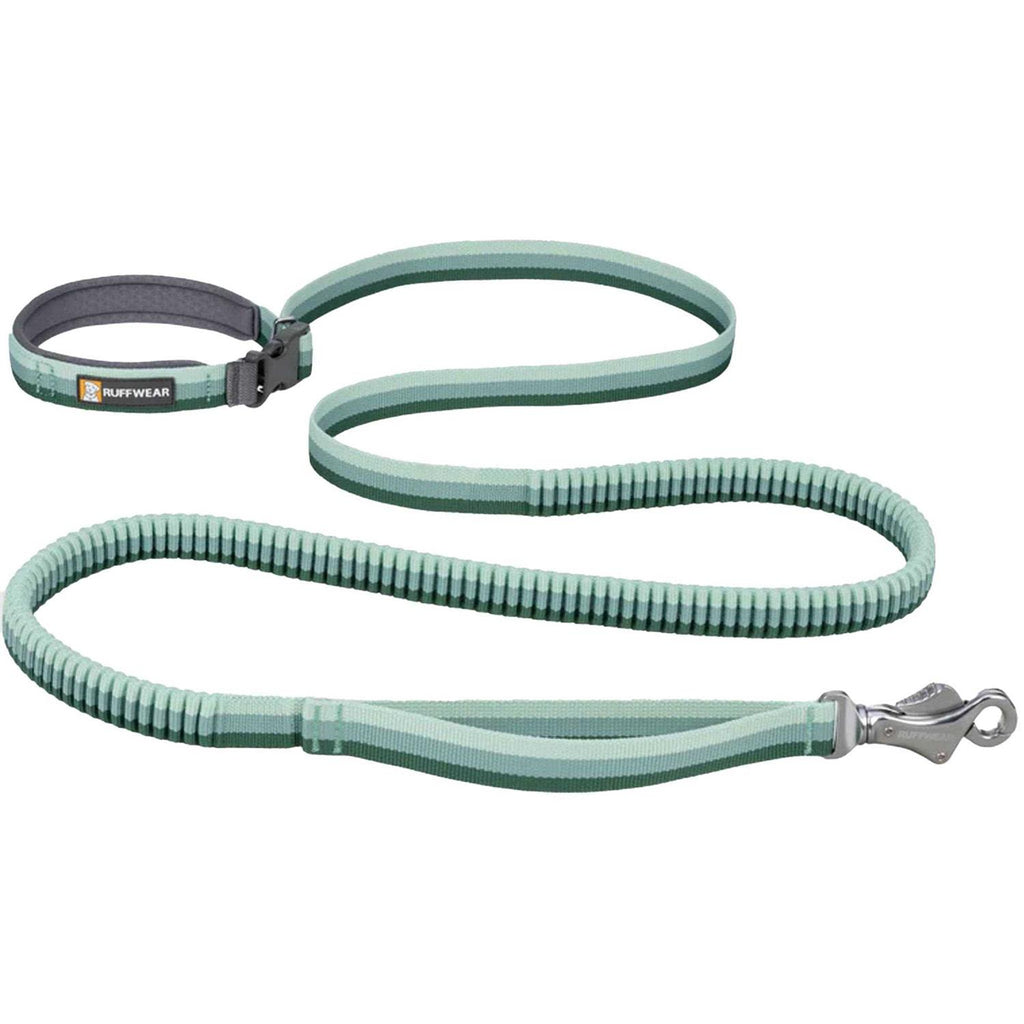 Leash P265