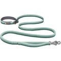 Leash P265