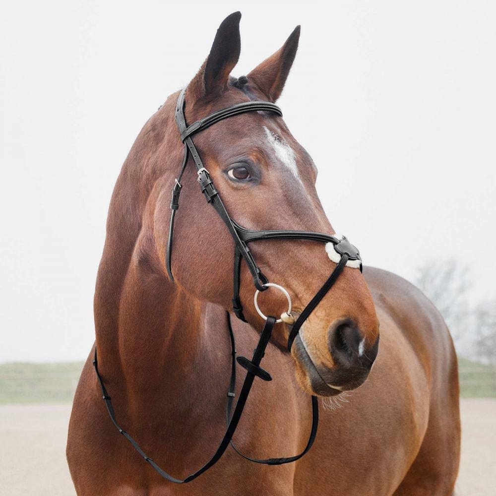 Brown Figure 8 Bridle G221