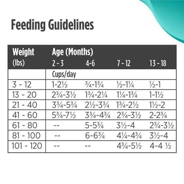 Grain Free Dry Puppy Food Y932160