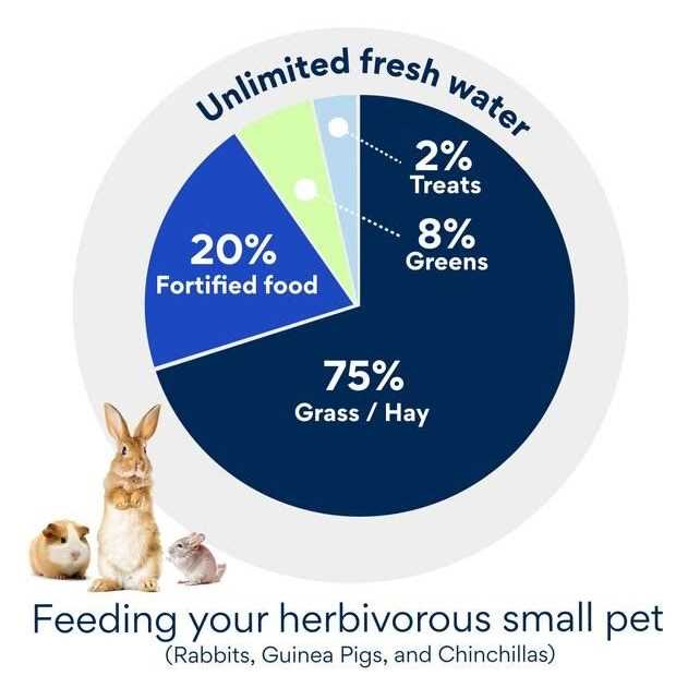 Interactive Small Animal Treat S9621