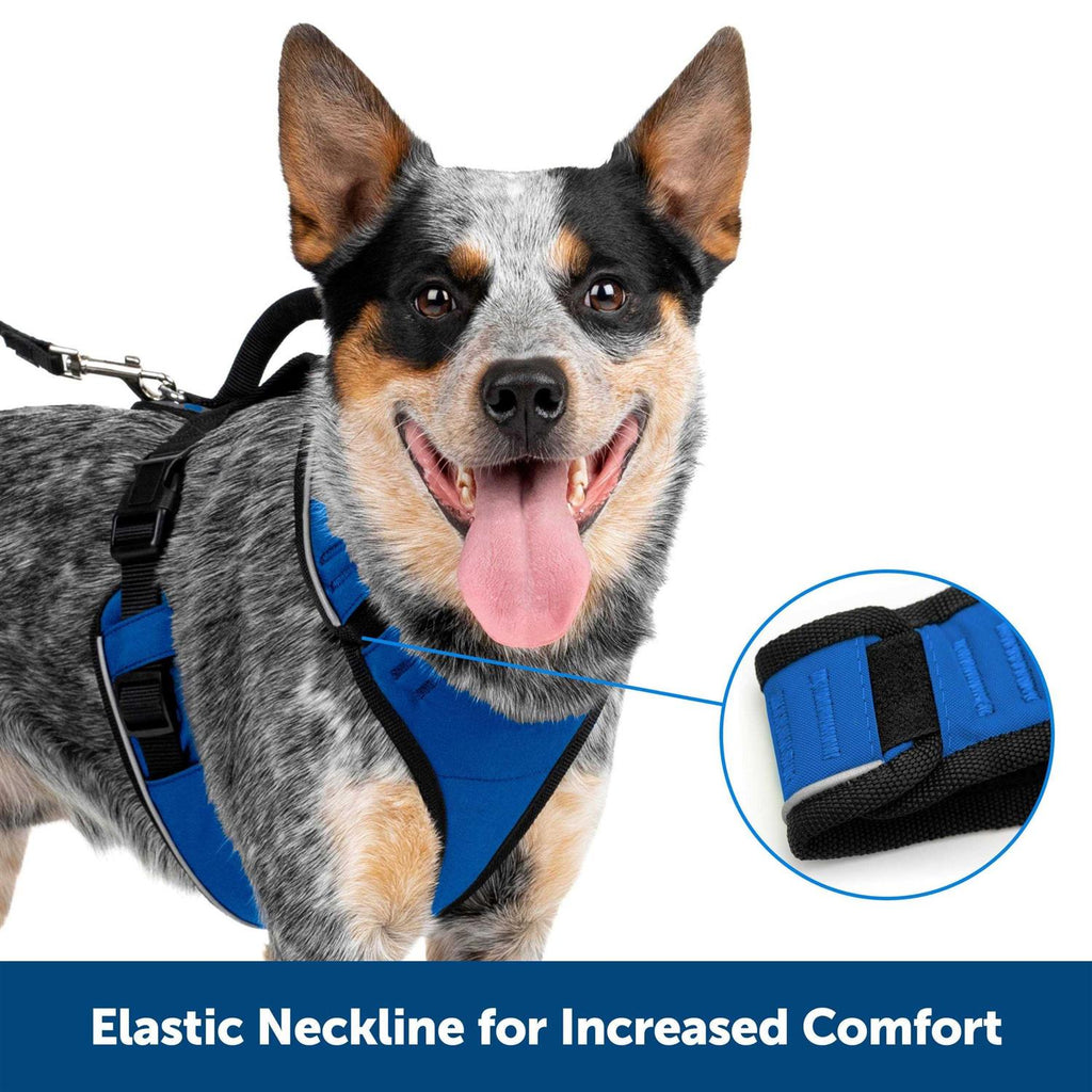 Dog Harness V3047