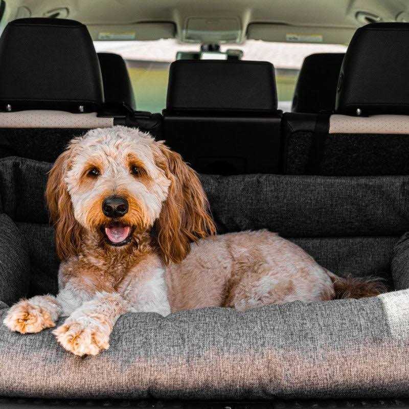 Memory Foam Dog Car Bed Gray Q199