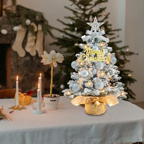 White 22 Inch Mini Artificial Christmas Tree with Lights Z4726