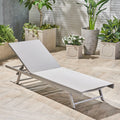 Aluminum Mesh Chaise Lounge A540425