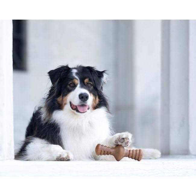 Durable Chew Toys L14297