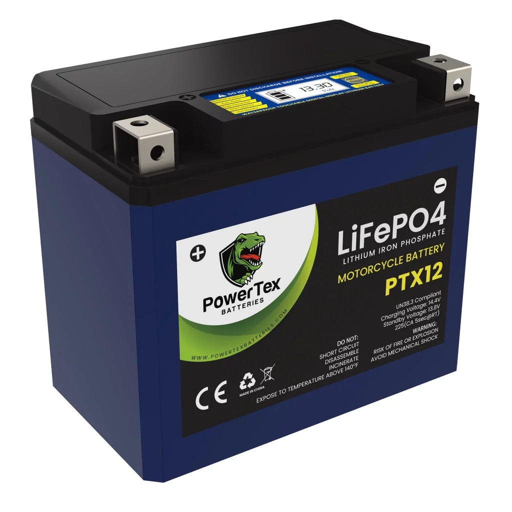 Lithium Iron Phosphate Motorcycle Battery with Voltage Display D550