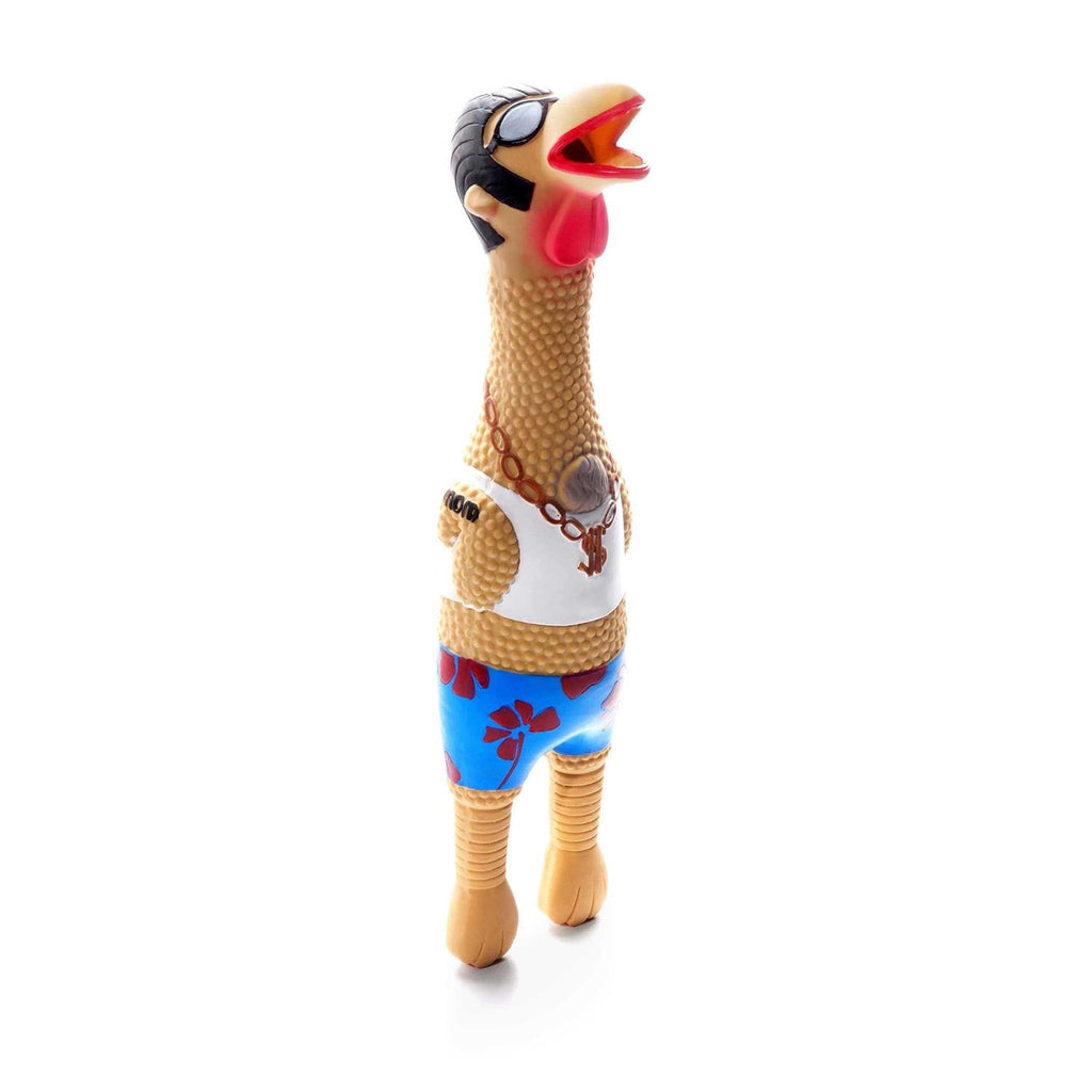 Dog Toy R36055