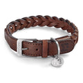 Brown Dog Collar W41251