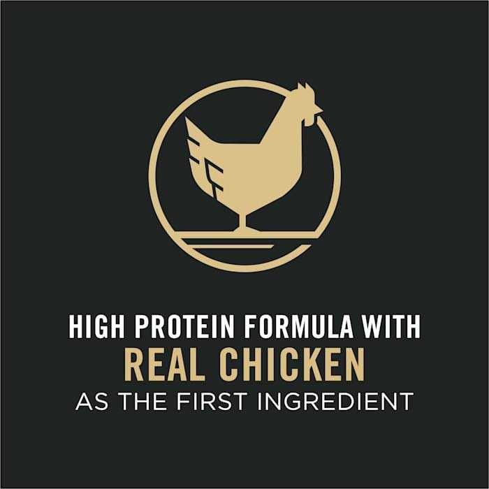 Chicken and Rice Formula Senior Dry Cat Food H25420
