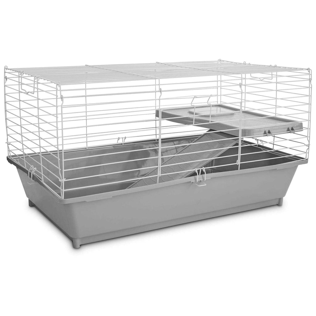 Guinea Pig Starter Kit R56671