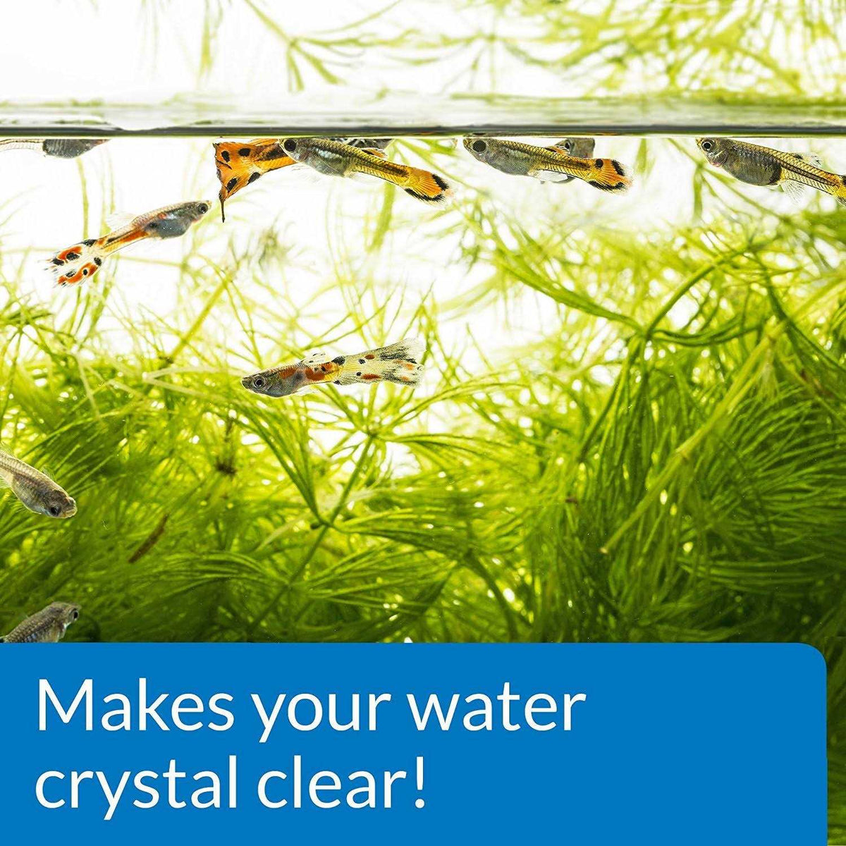 Aquarium Accu-Clear U3060