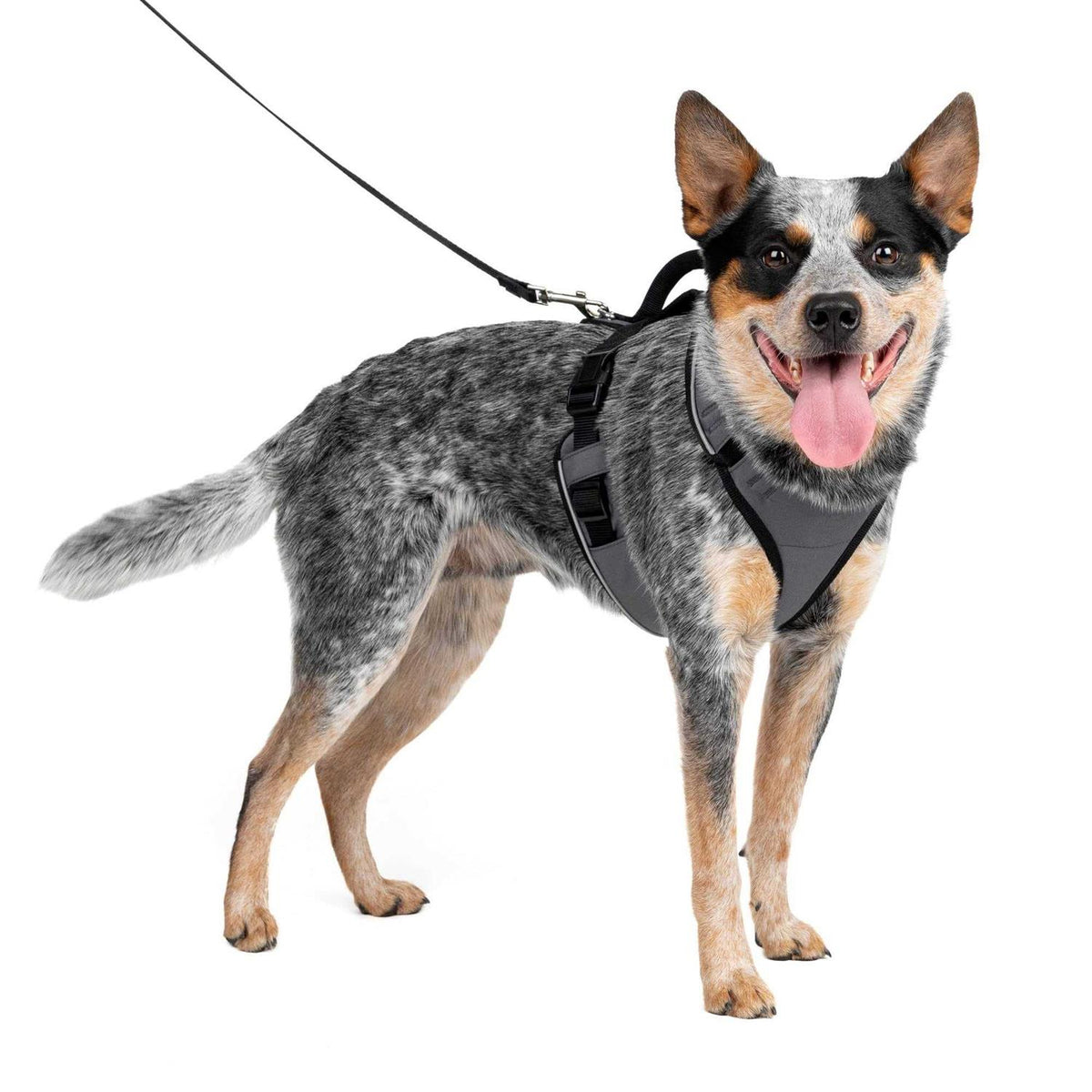Dog Harness V3047
