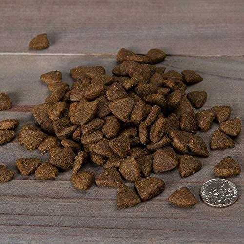 Grain Free Dry Puppy Food Y932160