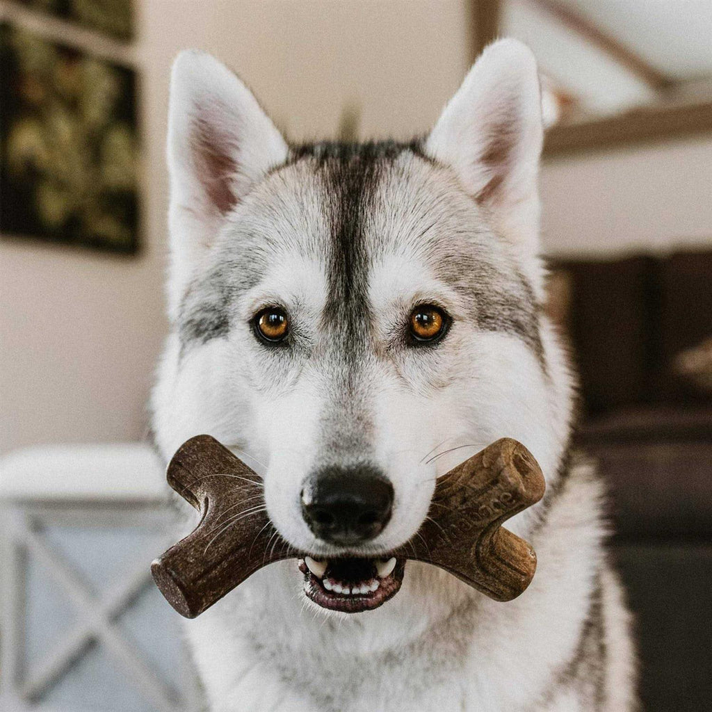 Durable Chew Toys L14297