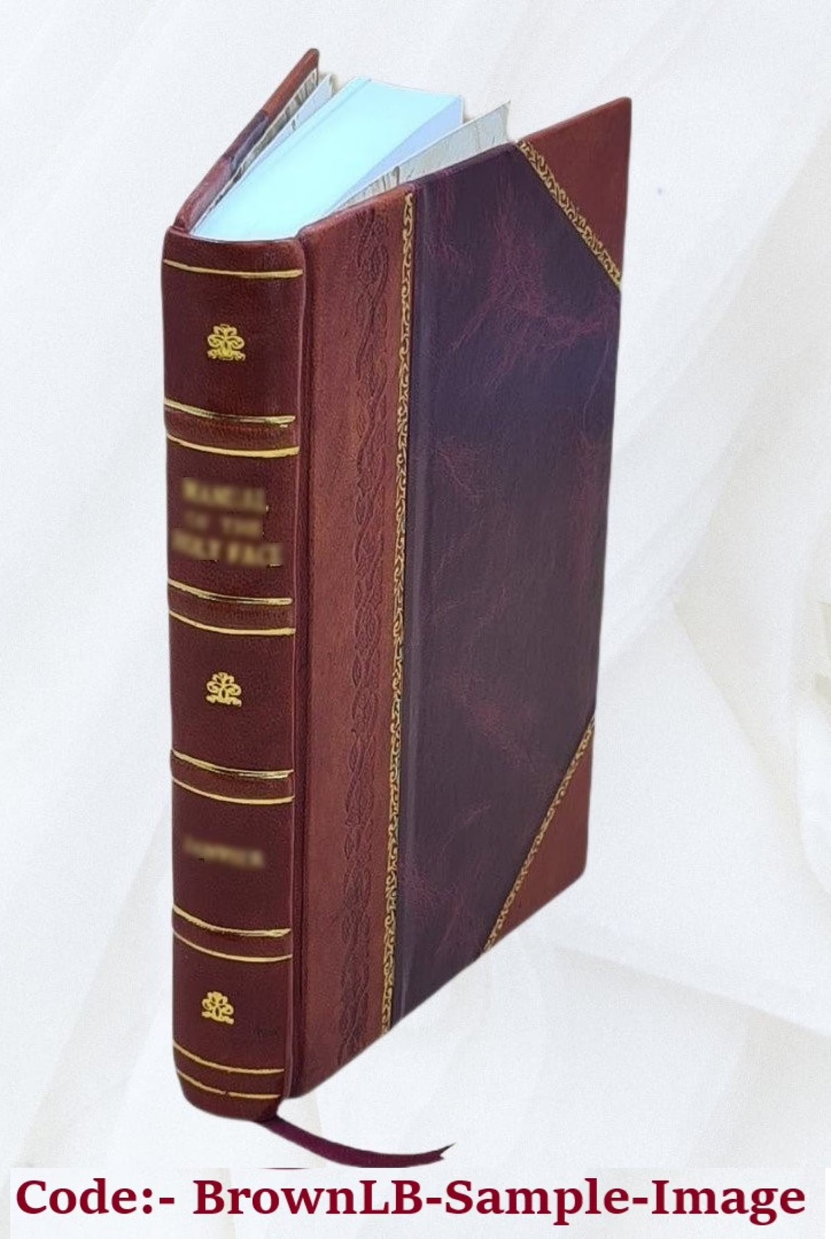 Leather Bound Book T2909