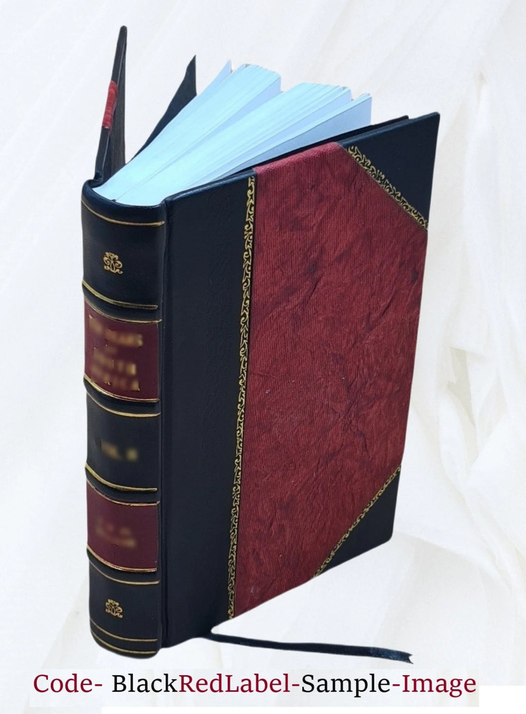 Leather Bound Book T2909