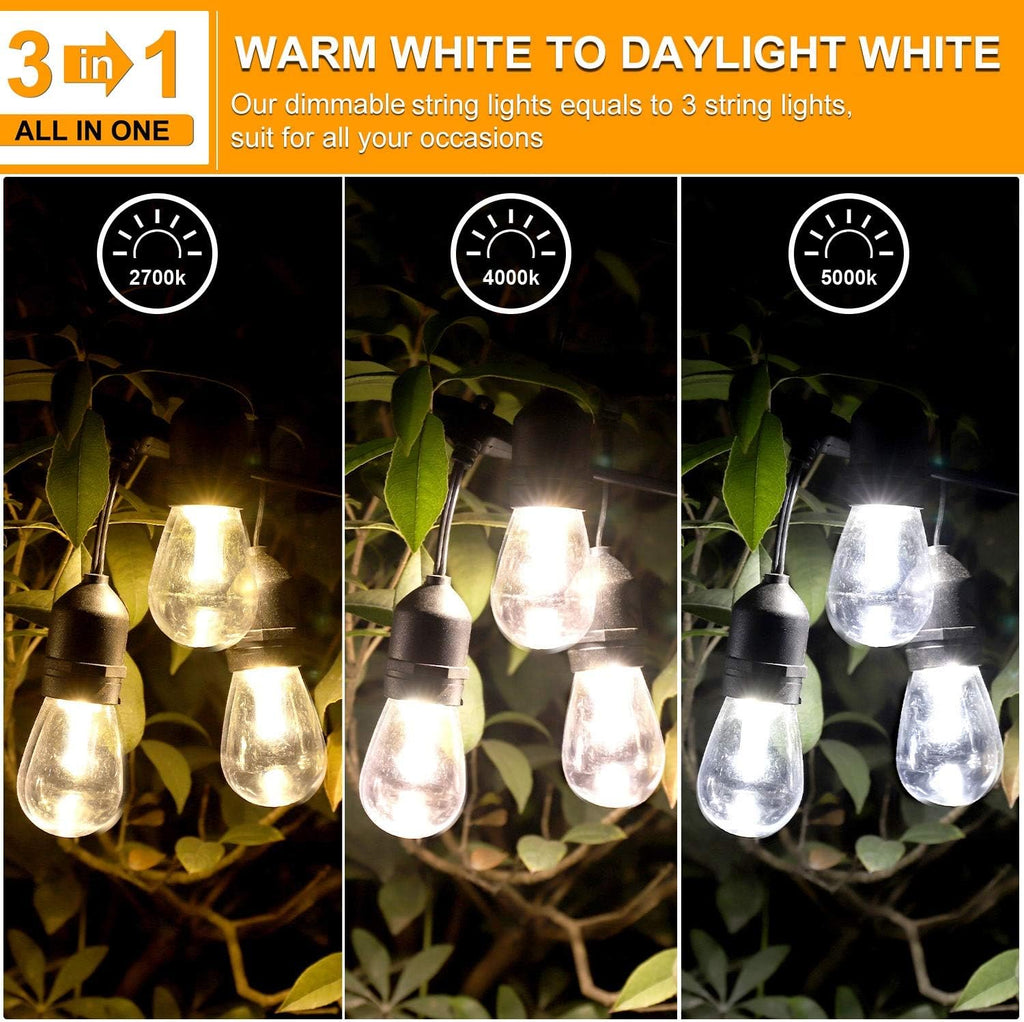 48FT Waterproof Dimmable LED String Lights with Remote Q113628