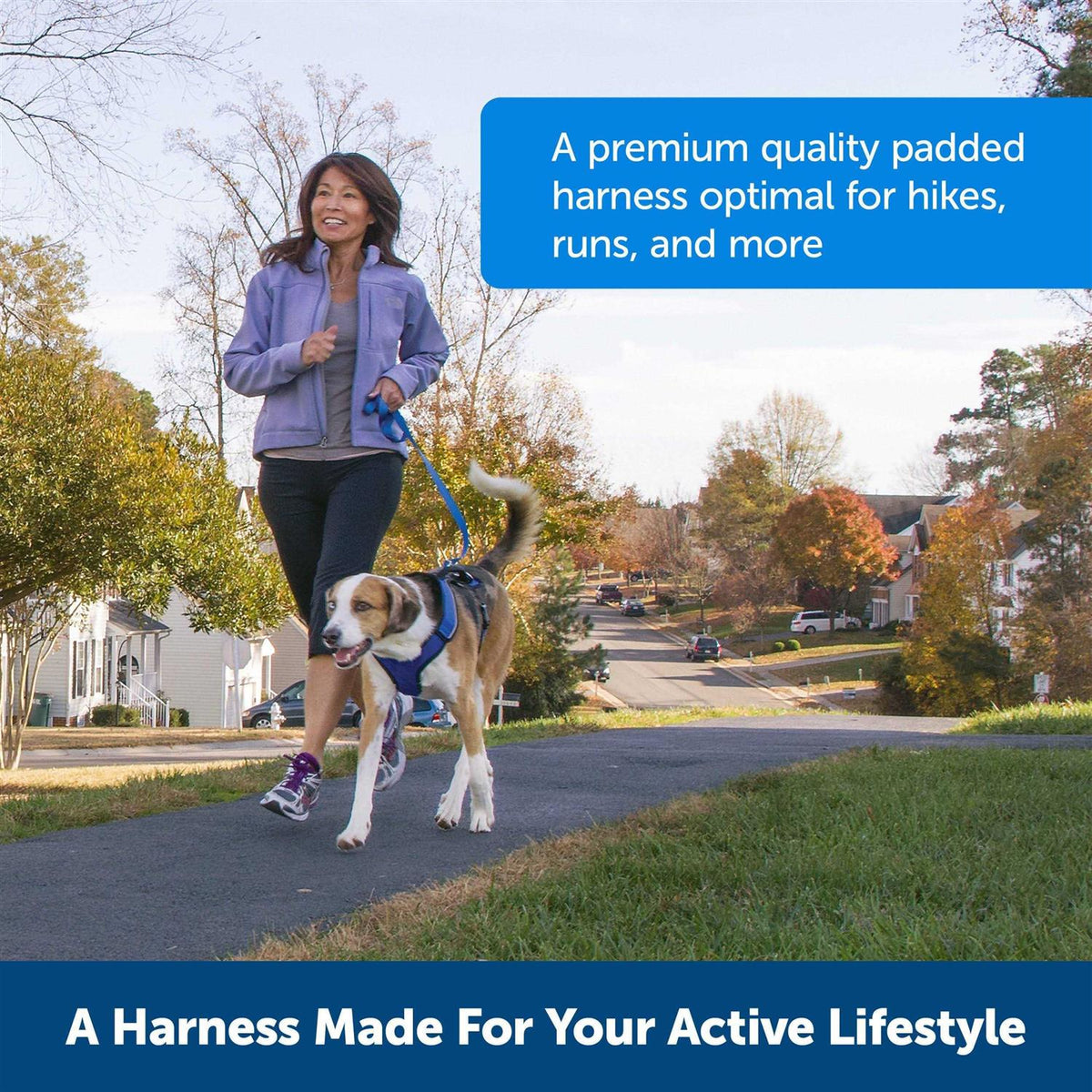 Dog Harness V3047